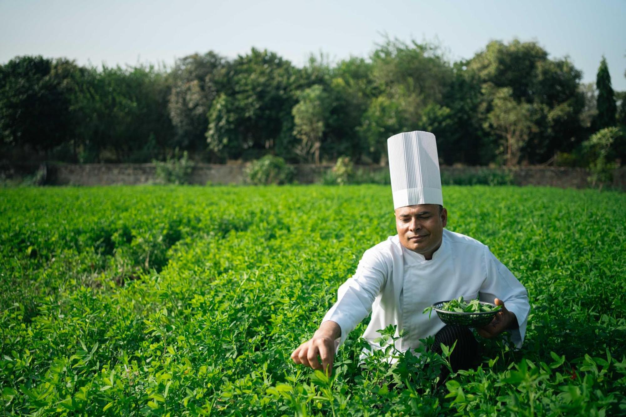סוואי מדופור Abhyaran Resort & Spa Ranthambore מראה חיצוני תמונה
